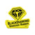 BlackDiamond Squeegee Rubber Sticker - Yellow